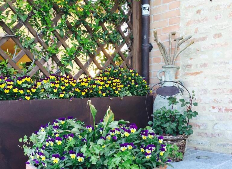 Bed and Breakfast Cascina Cortine