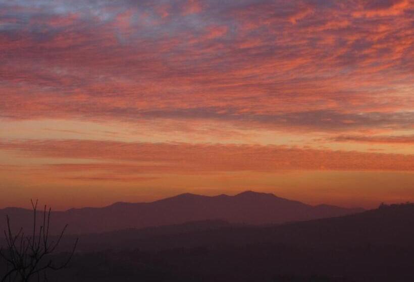 ベッドアンドブレックファースト Collesole