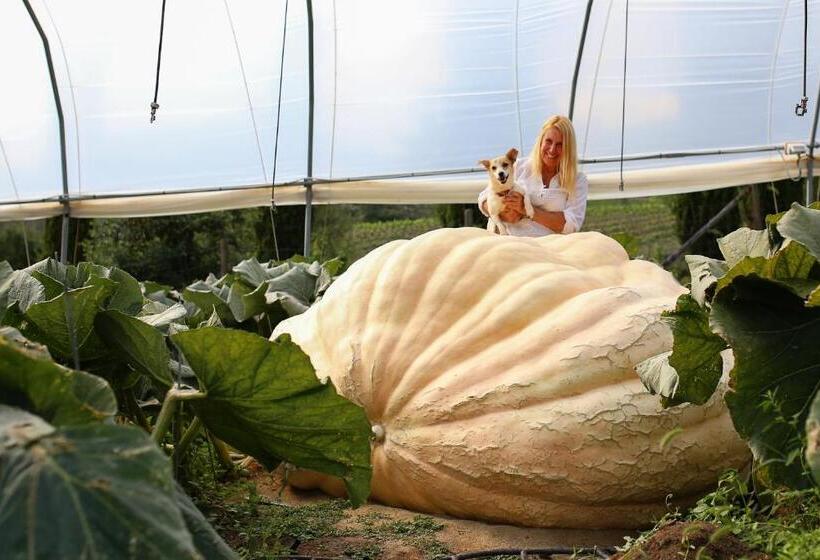 צימר Fattoria Poggerino