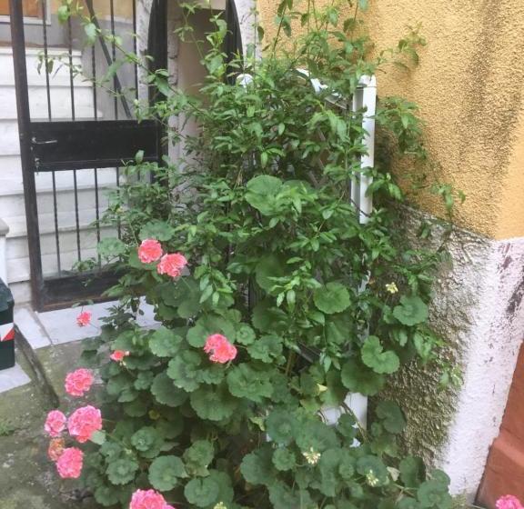 민박 Il Giardino Segreto