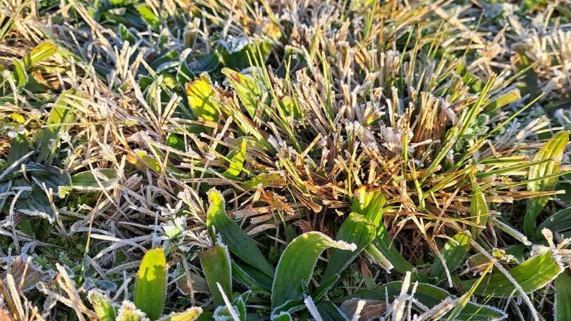 Bed and Breakfast Il Giuggiolo