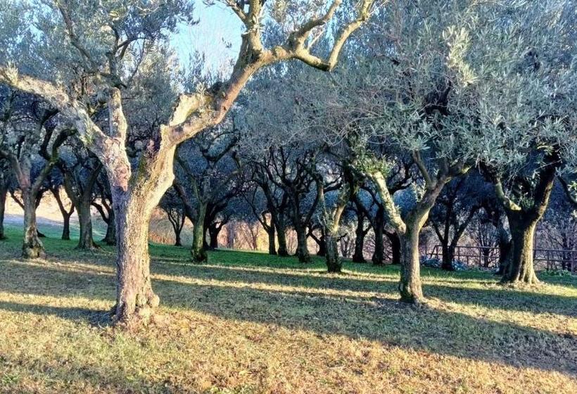 Bed and Breakfast Il Giuggiolo