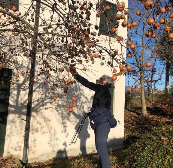 Bed and Breakfast Il Giuggiolo