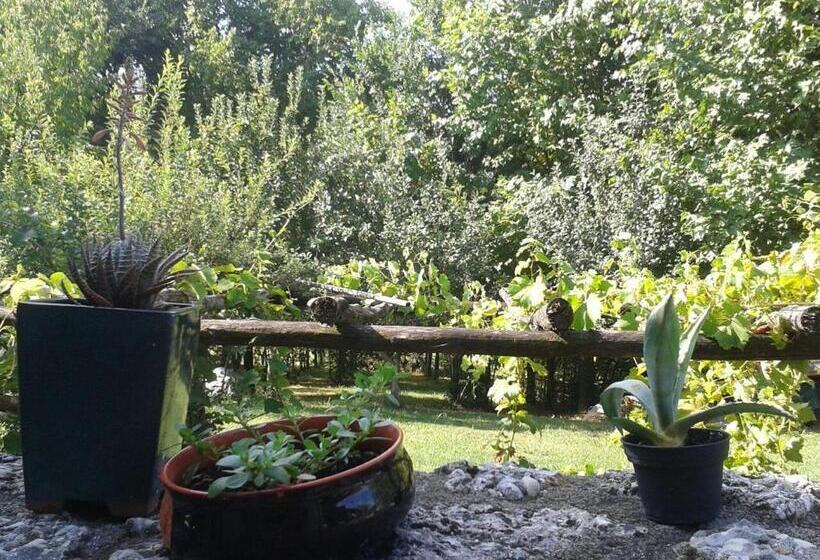 Bed and Breakfast Il Giuggiolo