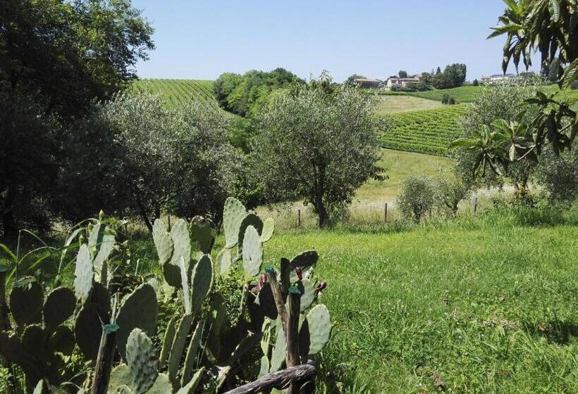 Bed and Breakfast Il Giuggiolo