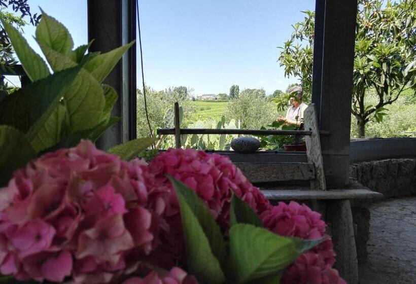 Bed and Breakfast Il Giuggiolo