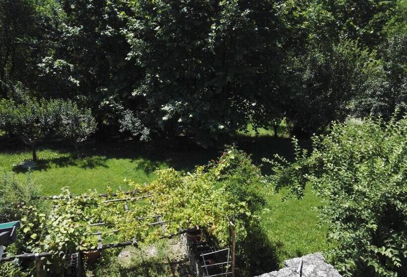 Bed and Breakfast Il Giuggiolo