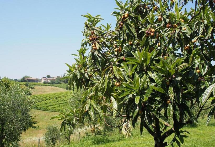 Bed and Breakfast Il Giuggiolo