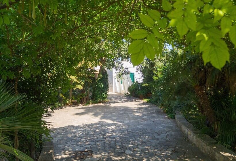 Bed and Breakfast Kalinifta   Io Parto Io Arrivo