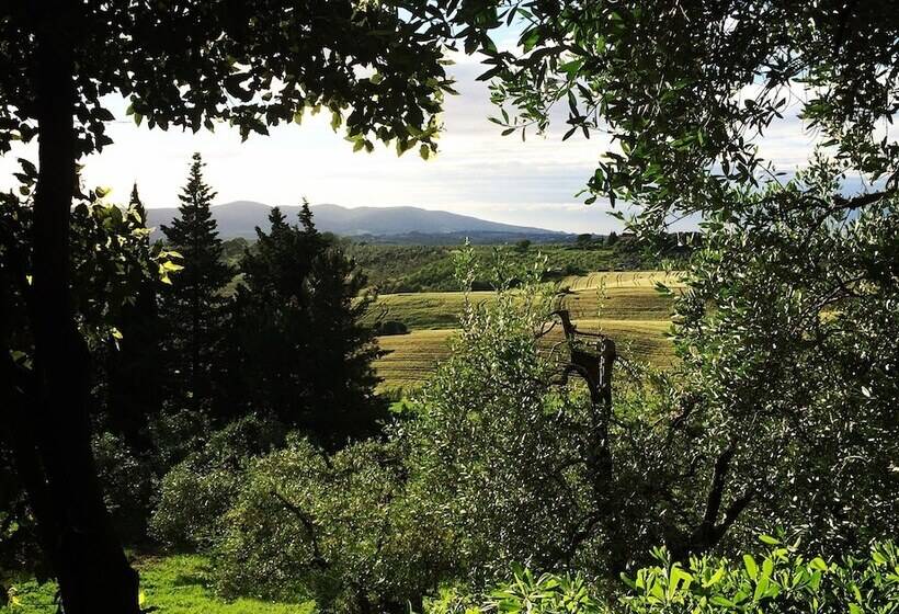 تختخواب و صبحانه La Locanda Del Barbagianni