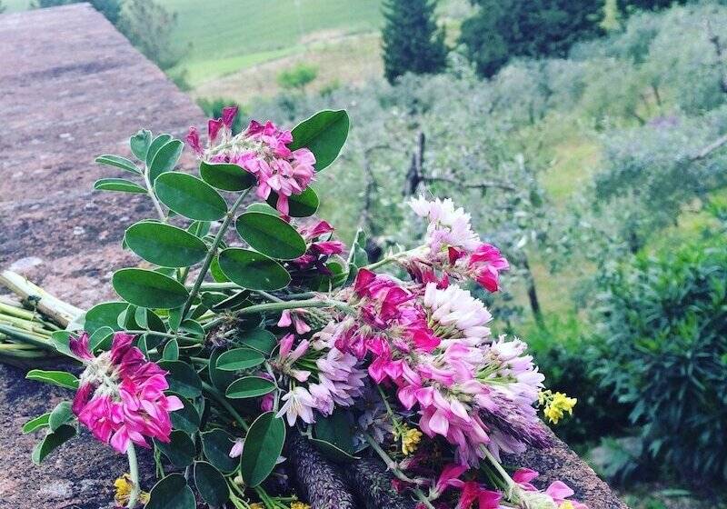 تختخواب و صبحانه La Locanda Del Barbagianni