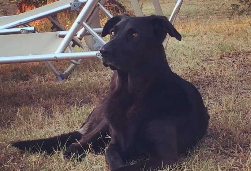 تختخواب و صبحانه La Locanda Del Barbagianni