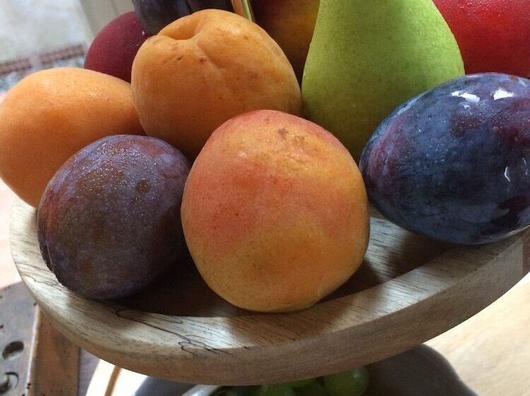 تختخواب و صبحانه La Locanda Del Barbagianni