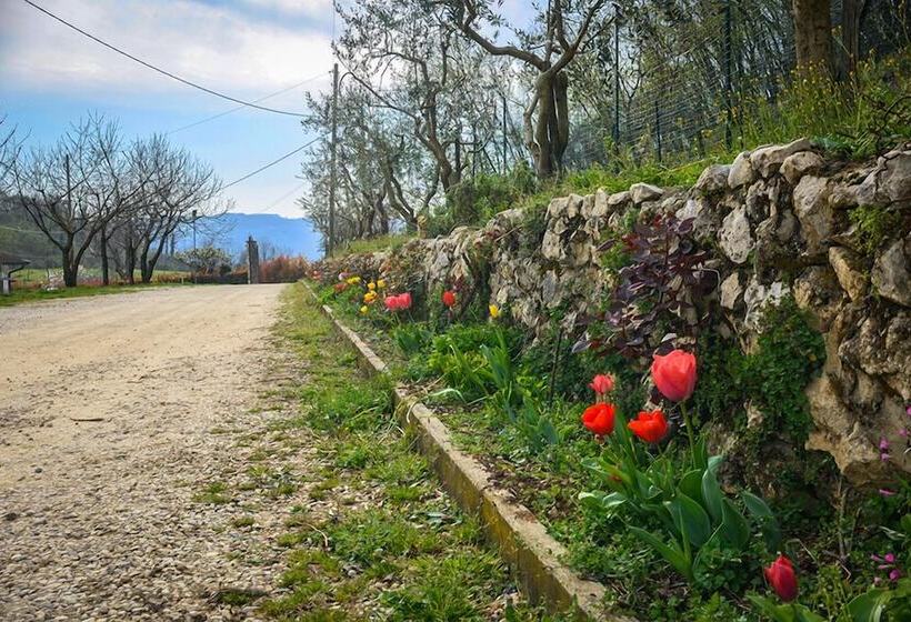 Bed And Breakfast La Quiete