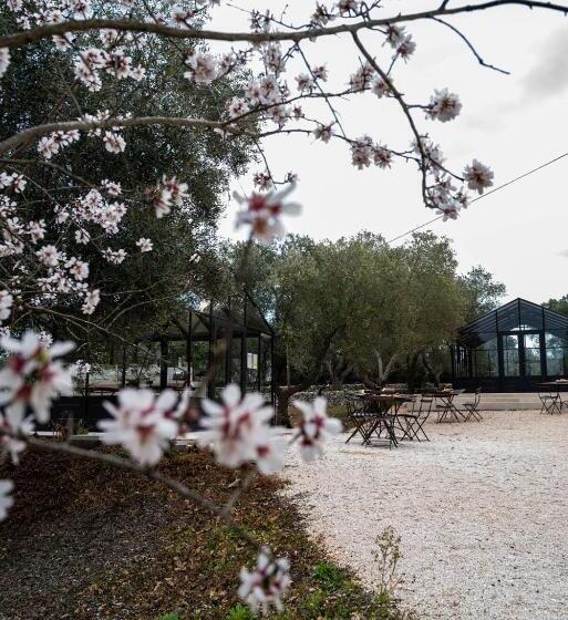 ベッドアンドブレックファースト Relais Trulli Le Icone