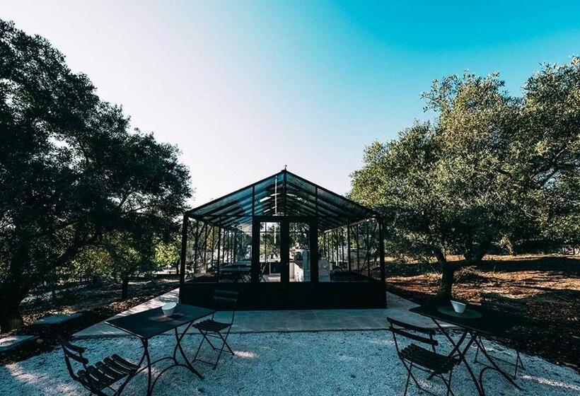 ベッドアンドブレックファースト Relais Trulli Le Icone