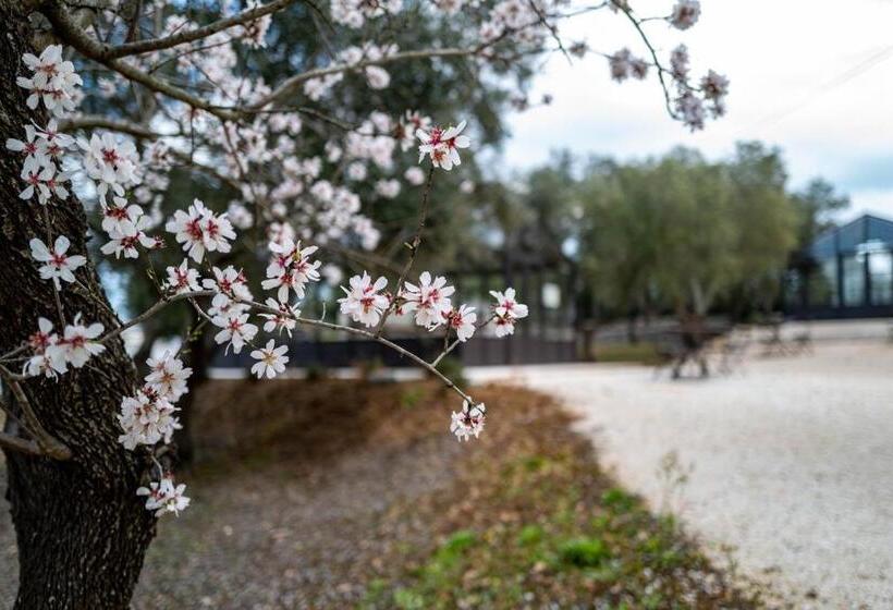 ベッドアンドブレックファースト Relais Trulli Le Icone