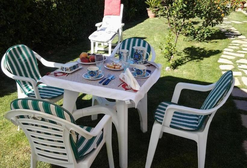 Bed and Breakfast Sa Mariposa