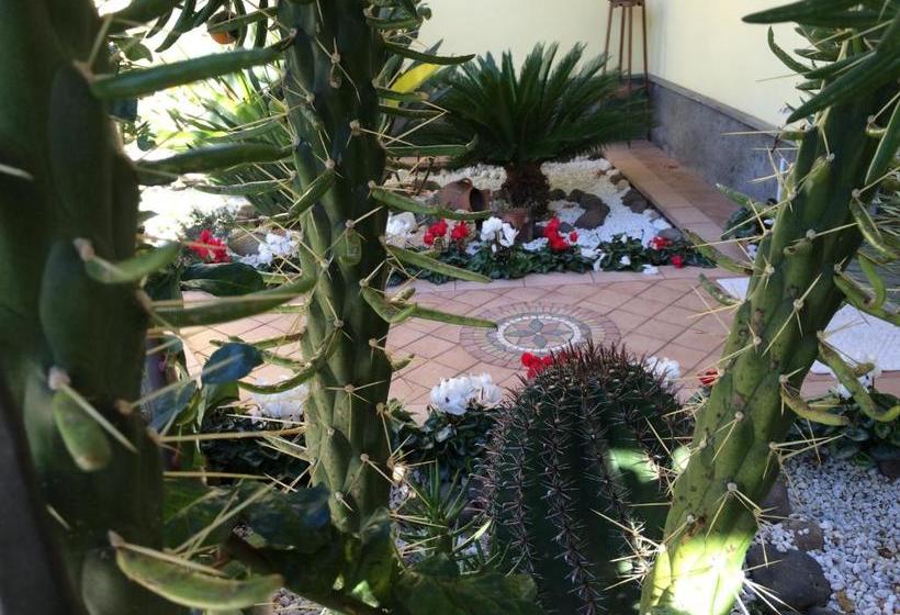 Bed and Breakfast Sa Mariposa