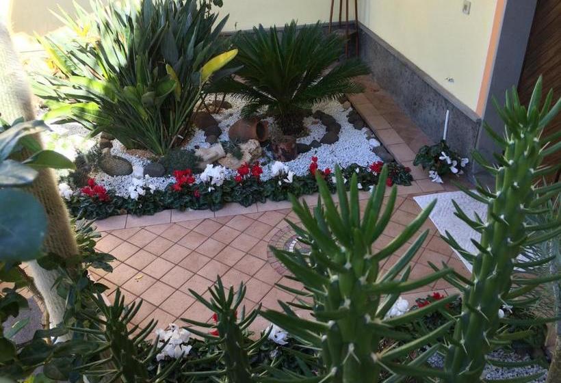 Bed and Breakfast Sa Mariposa