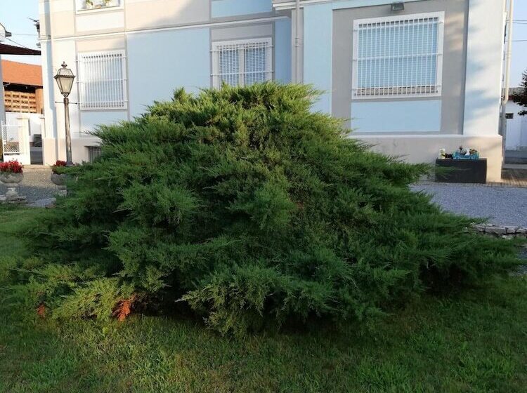 ベッドアンドブレックファースト Villa Ceirano