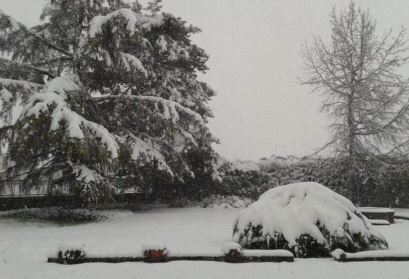 ベッドアンドブレックファースト Villa Ceirano