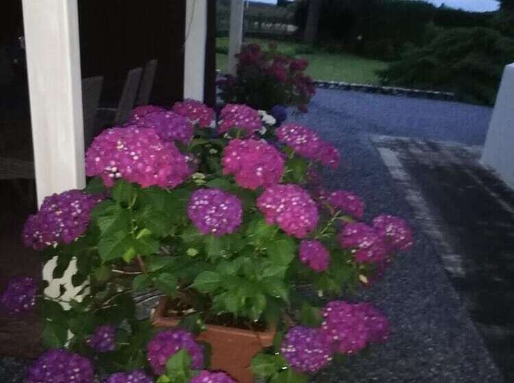 ベッドアンドブレックファースト Villa Ceirano