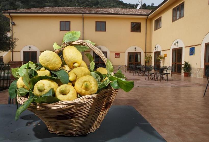 Bed and Breakfast Agriturismo Villa Orchidea