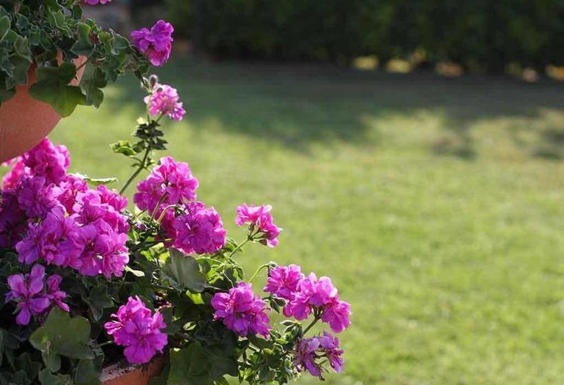 Da Rosa Bed And Breakfast