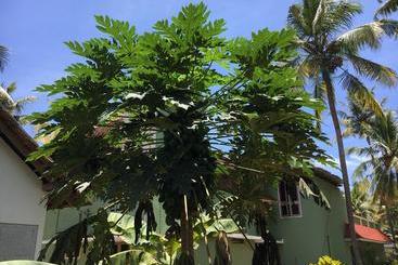 Divine Bliss Beach Resort