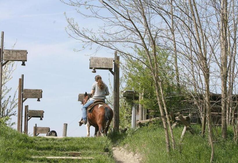 酒店 Cowboys Guest Ranch