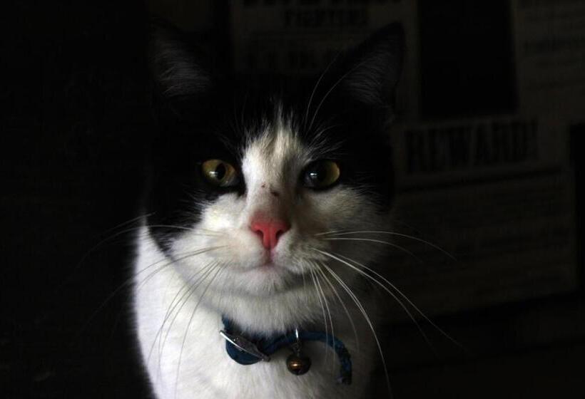 酒店 Cowboys Guest Ranch