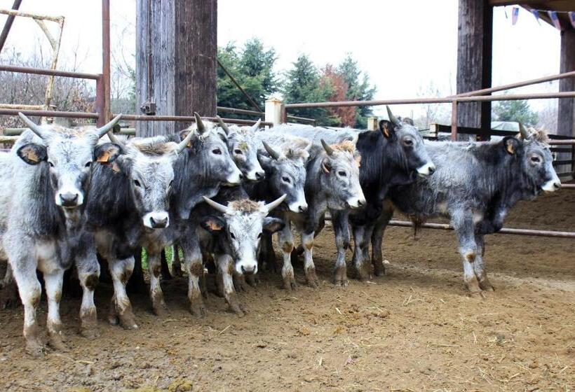 酒店 Cowboys Guest Ranch