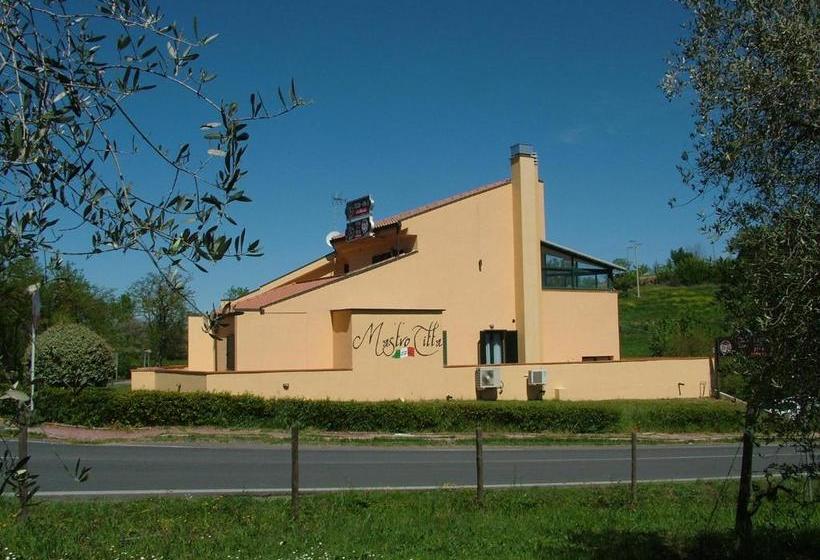 호텔 8380 Camere Mastro