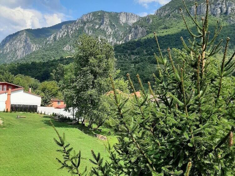 فندق Pensiune Safrane