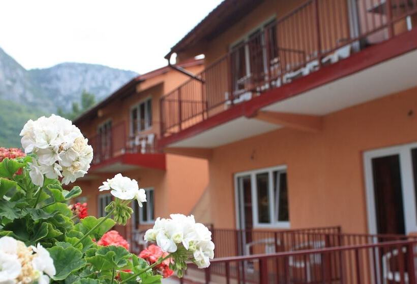 فندق Pensiune Safrane