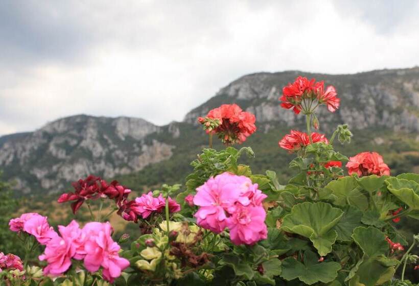 فندق Pensiune Safrane