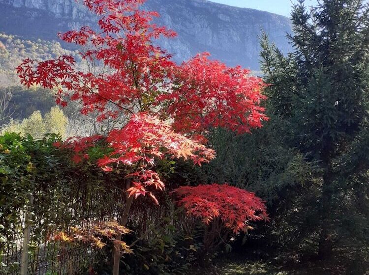 فندق Pensiune Safrane