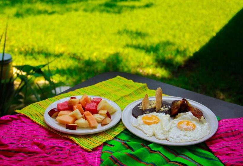 酒店 Quinta Chiapas