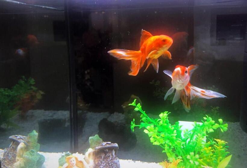 Il Giardino Di Adriana B&b