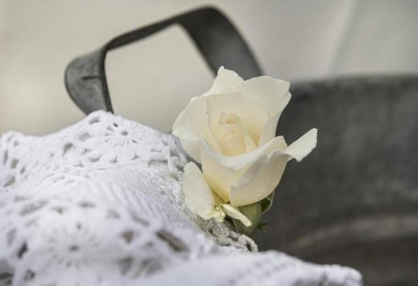 Il Giardino Di Ortensia B&b