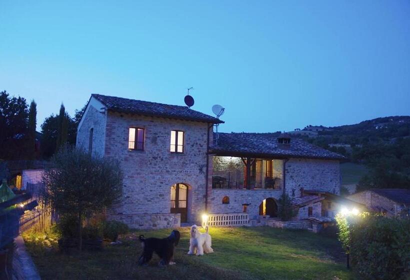 La Pietra Rara B&b