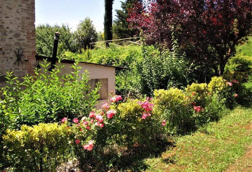 La Pietra Rara B&b