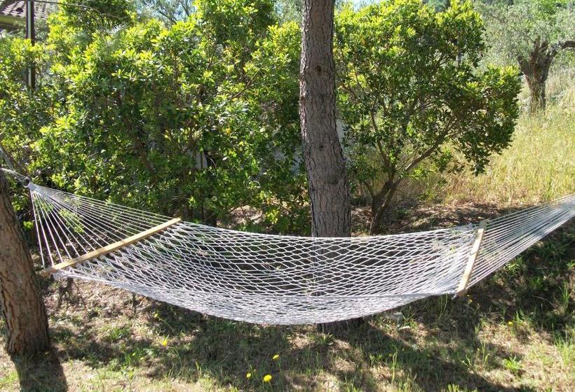 Le Poiane B&b Vacanze