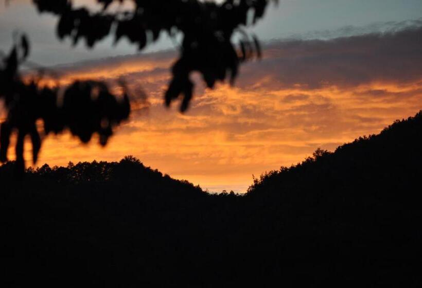 Rose E Cioccolato B&b