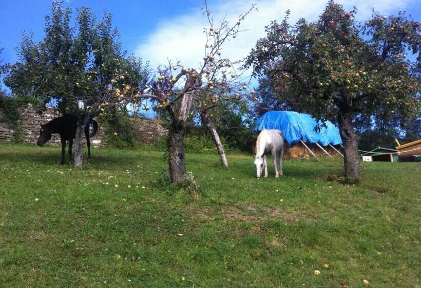 Rose E Cioccolato B&b