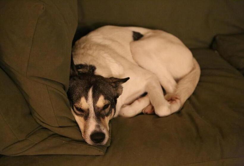 Rose E Cioccolato B&b