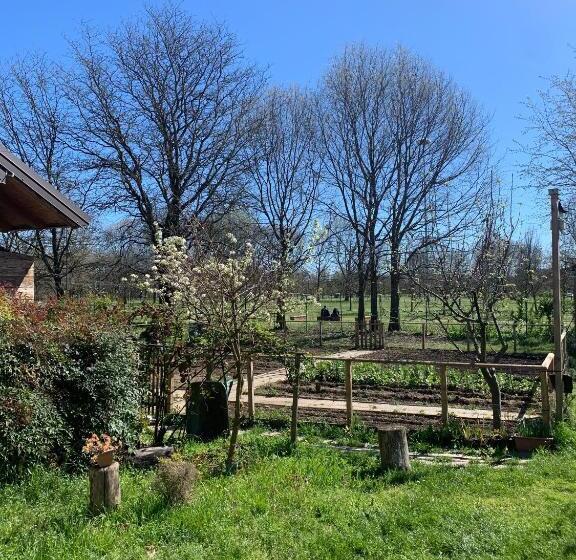 旅馆 Cascina Bellaria