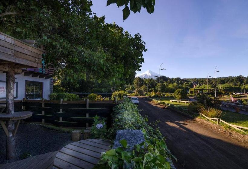 הוסטל Chili Kiwi Lakefront Backpackers