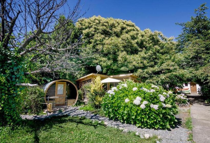 הוסטל Chili Kiwi Lakefront Backpackers